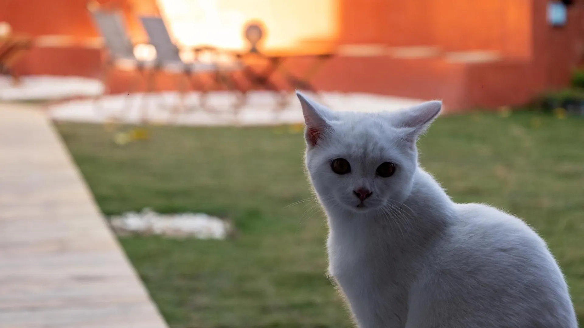 Homestay Sanya West Island Sansheng Garden And Cat B&B